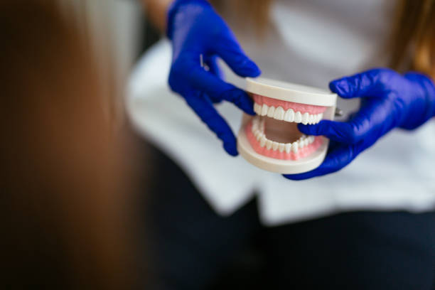 Reliable Village Of Four Seasons, MO Holistic Dental Care Services Solutions
